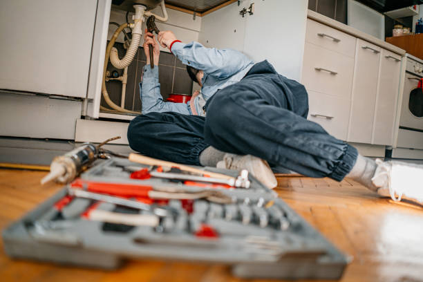 Best Plumbing Repair Near Me  in Wagner, SD